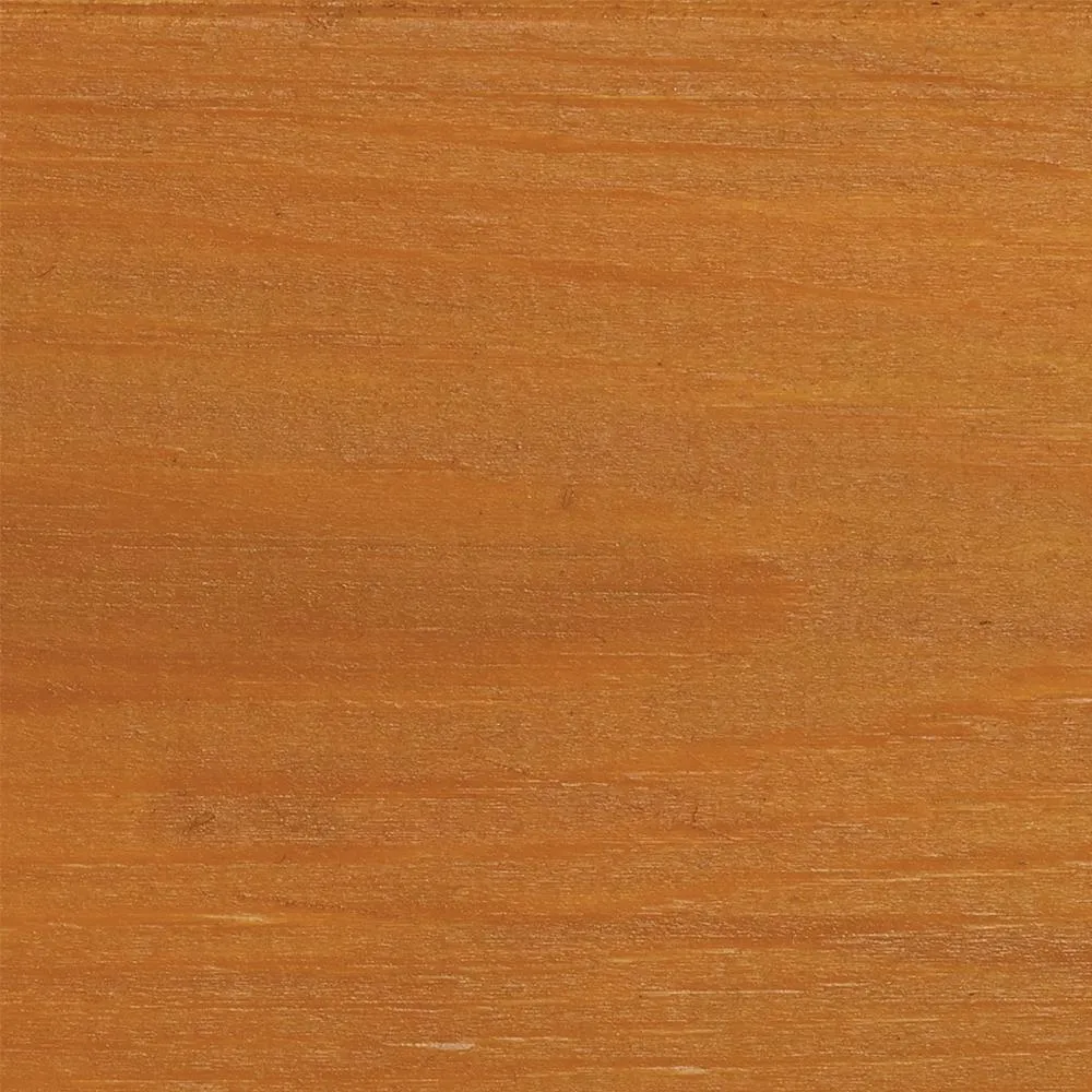 Protek Wood Stain & Protect - Gold