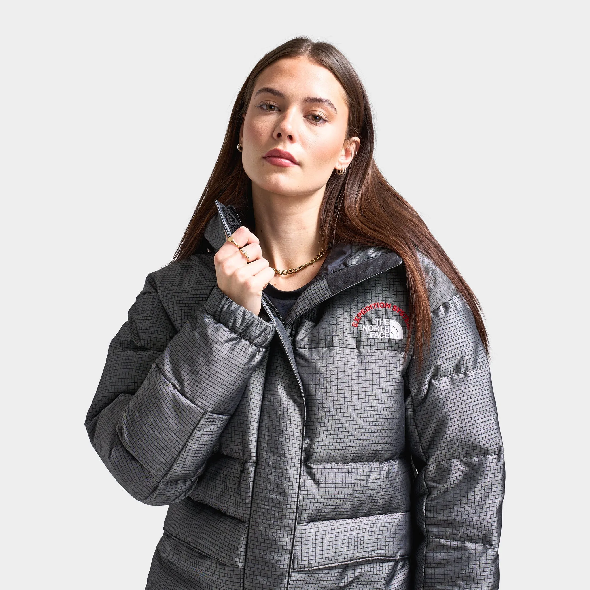 The North Face HMLYN 30 Anniversary Parka / Moonstone