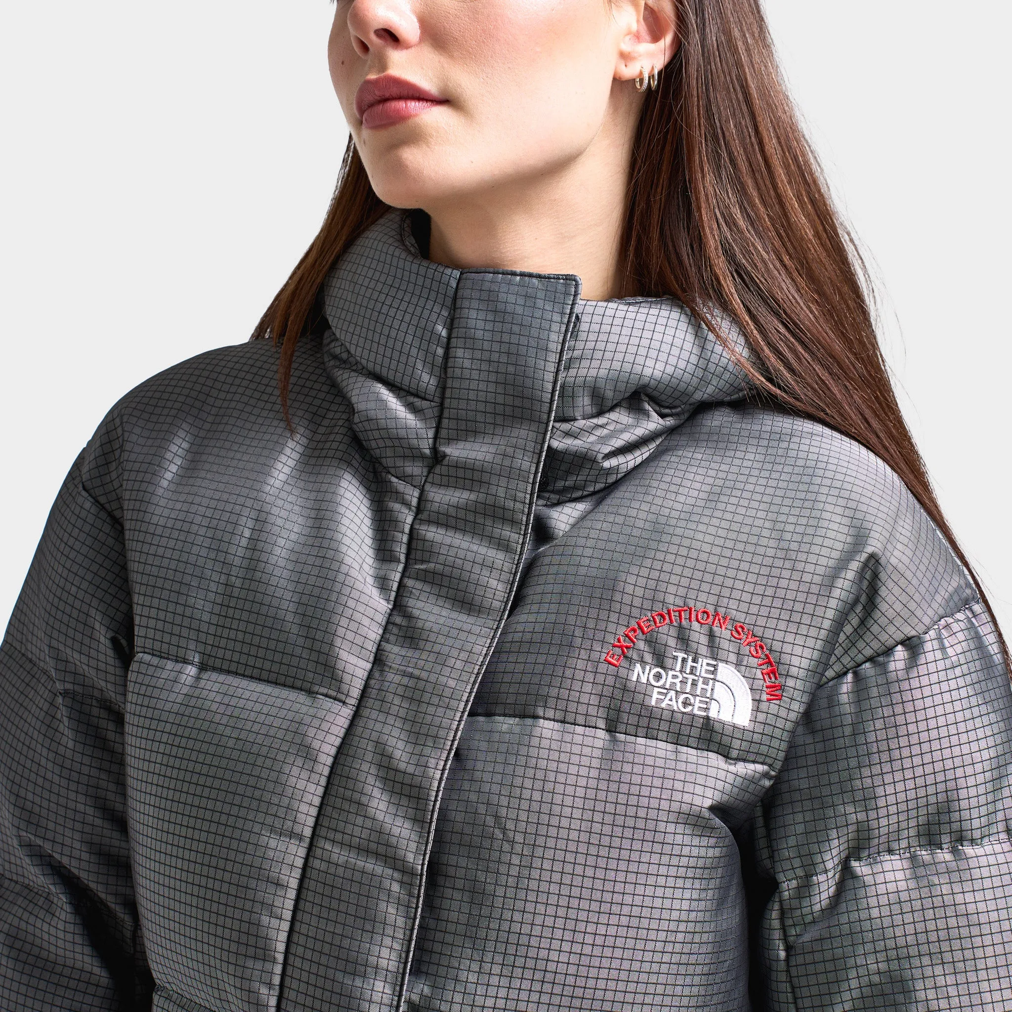 The North Face HMLYN 30 Anniversary Parka / Moonstone