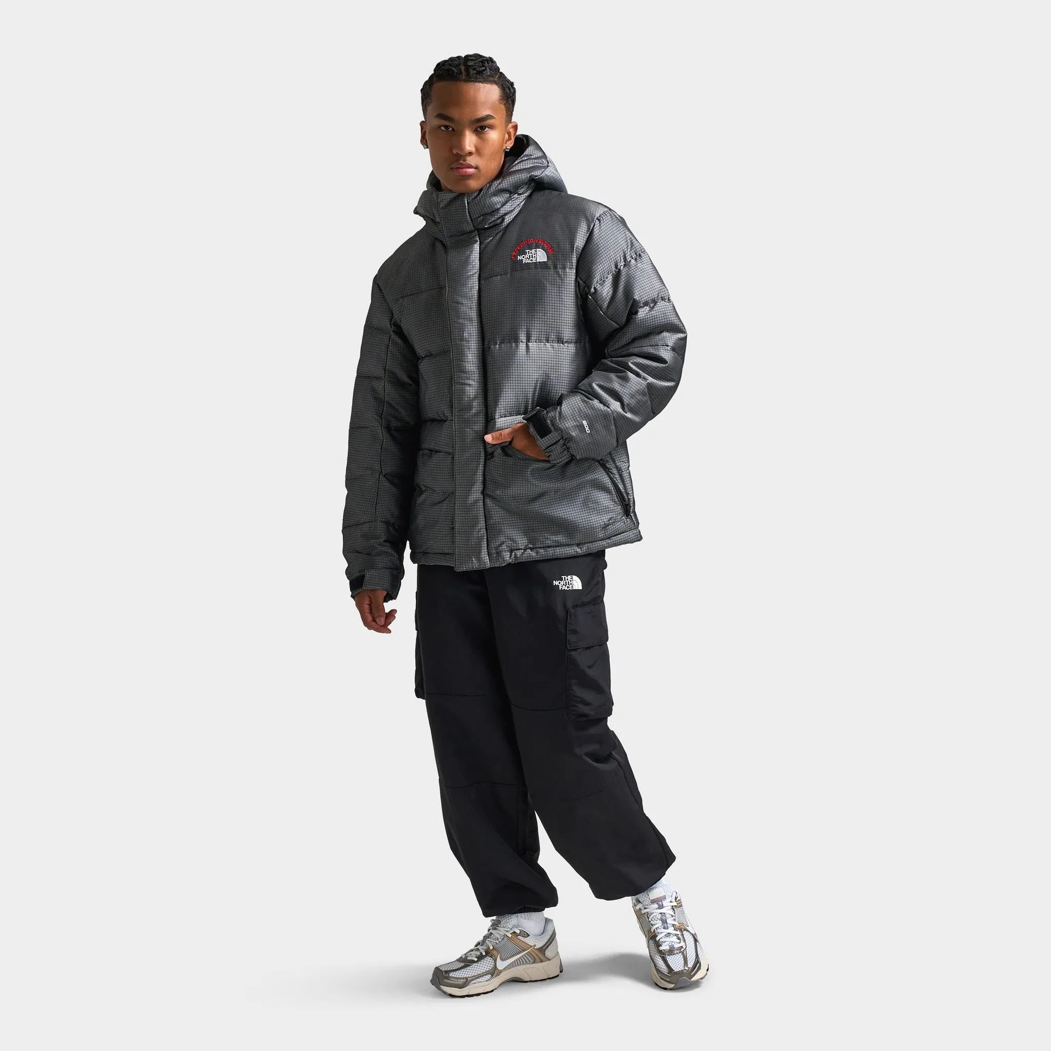 The North Face HMLYN 30th Anniversary Parka / Moonstone Grey